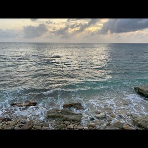 Meet your Posher, Will